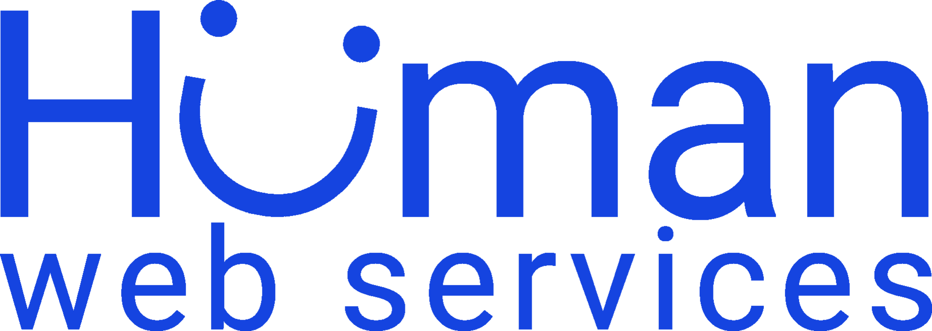 Human web services blue logo